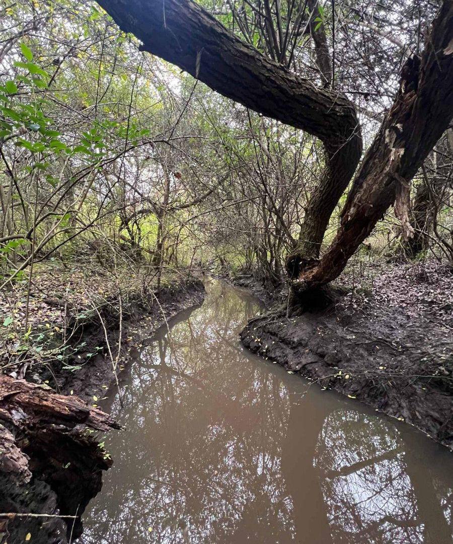Foto de Venta Campo 18.970 Has sobre arroyo. Costa Azul, imagen 4