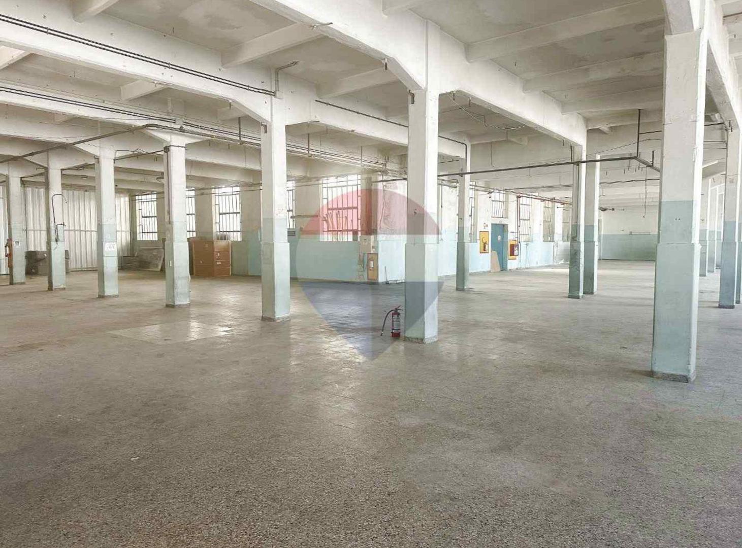 Foto de ALQUILER DE DEPÓSITOS VILLA ESPAÑOLA, imagen 3