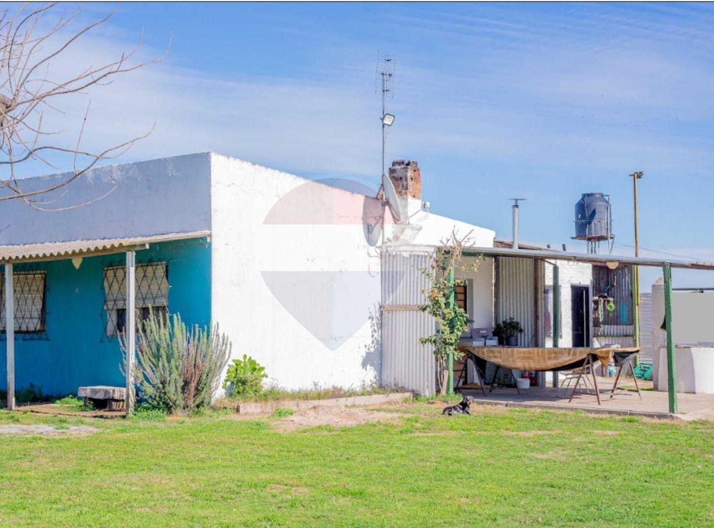 Foto de ALQUILER 2 CASAS Y CAMPO 3.7 HÁS TOTORAL DEL SAUCE, imagen 2