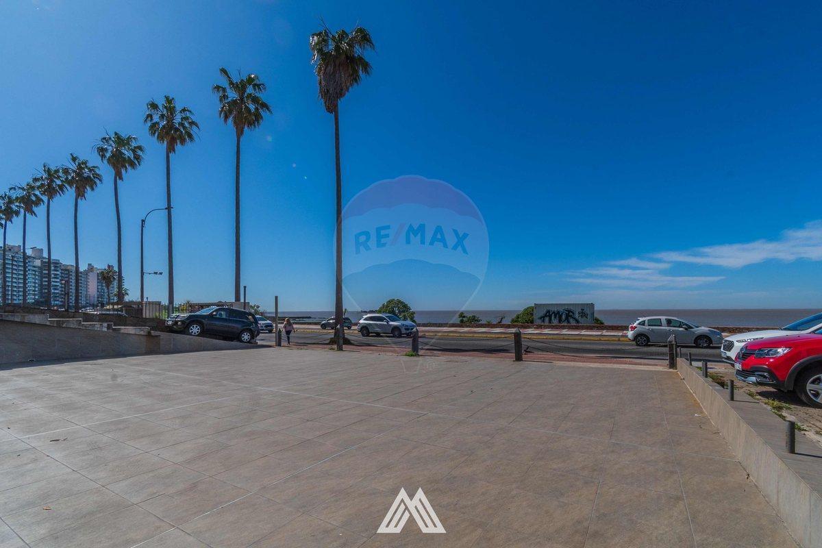 Foto de VENTA TERRENO RAMBLA BUCEO 20 M FRENTE 1060 M2, imagen 2
