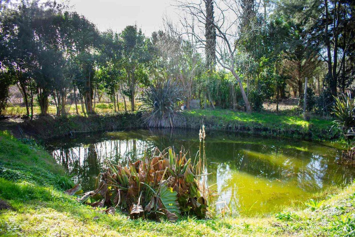Foto de Venta casa con campo y costa sobre el arroyo Pando, imagen 4