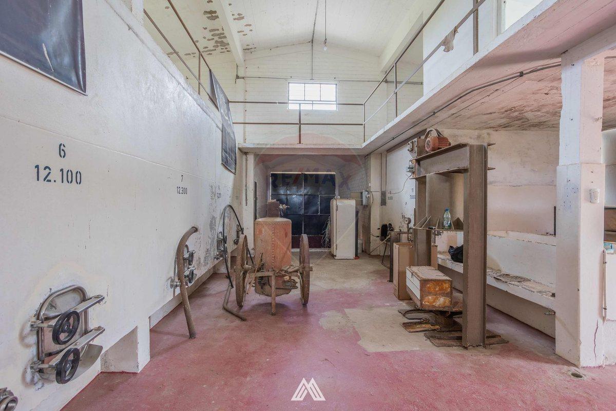 Foto de VENTA CHACRA DE 5.84 HA, Bodega Boutique, SAN JOSÉ, imagen 5