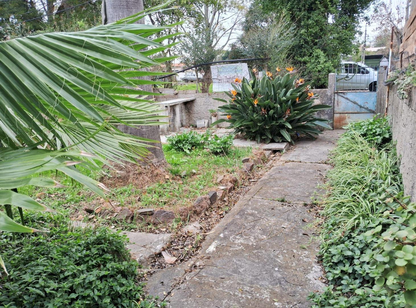 Foto de Venta de casa para reciclar en Punta de Rieles., imagen 1