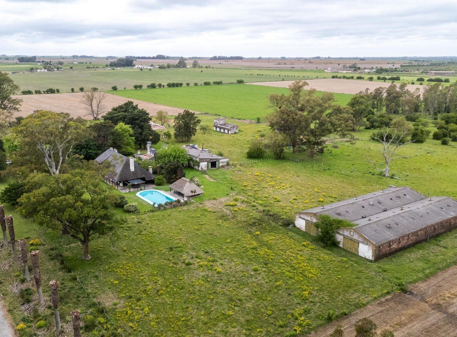 Foto de VENTA CAMPO 126 HA, Vivienda y ex Haras, Florida, imagen 5