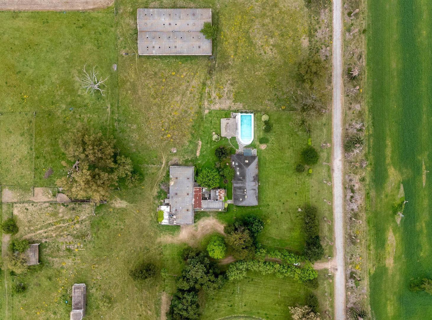 Foto de VENTA CAMPO 126 HA, Vivienda y ex Haras, Florida, imagen 4