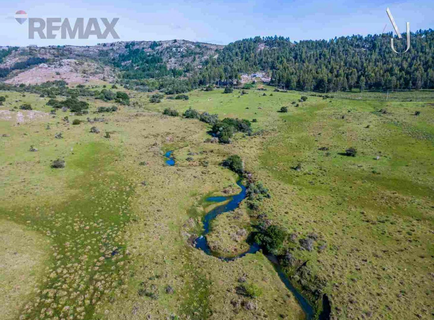 Foto de Venta de campo 25,7 Ha. en Minas, Lavalleja., imagen 3