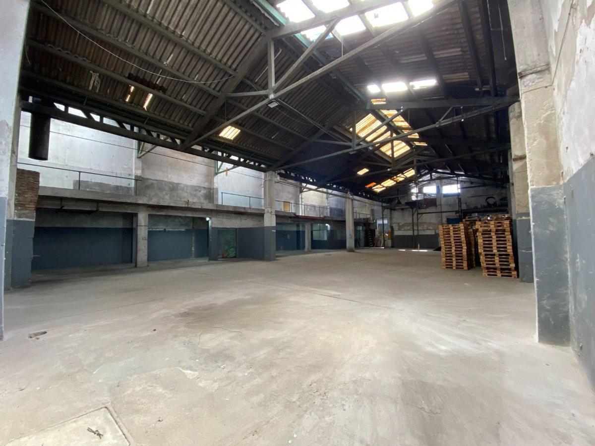 Foto de Depósito Venta Paso Molino con Renta Oportunidad, imagen 3