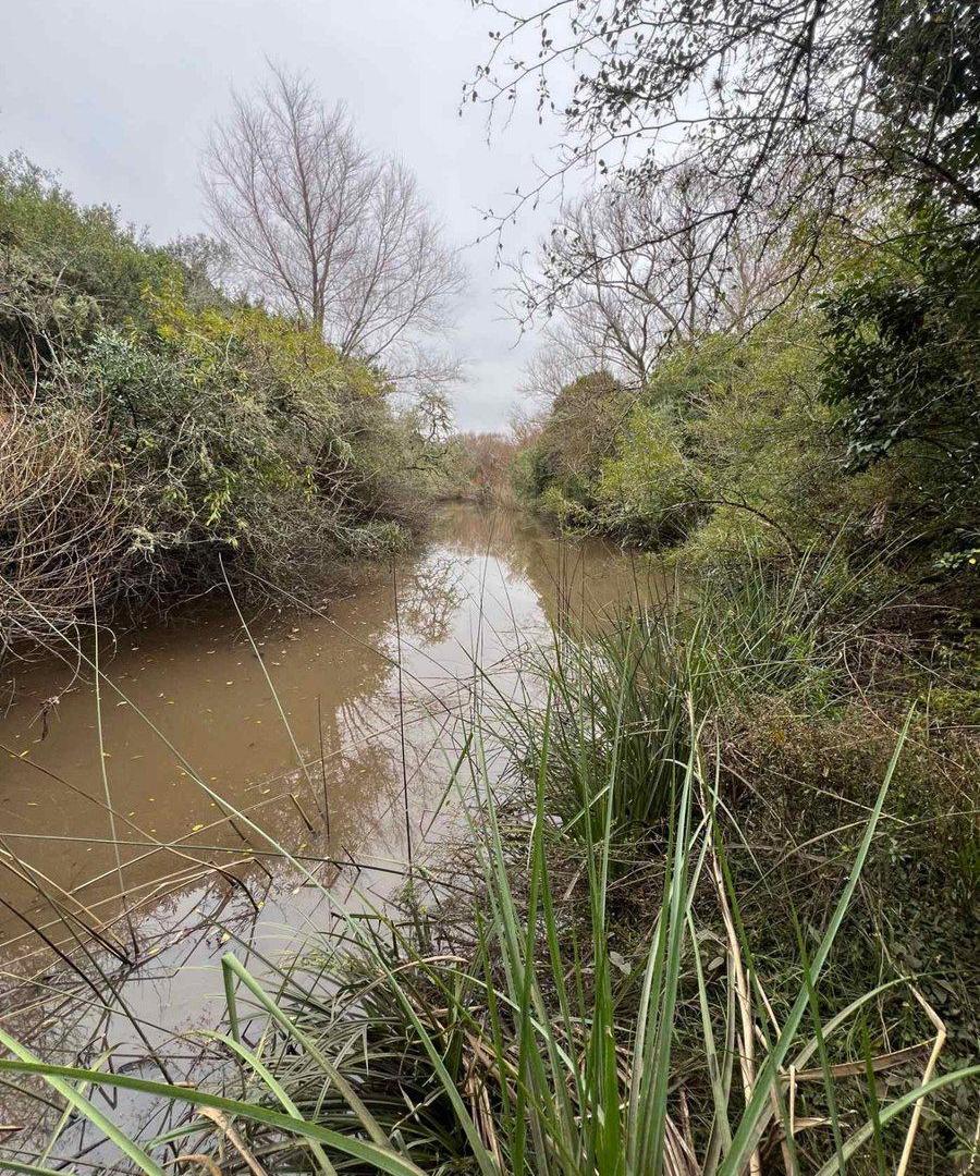Foto de Venta Campo 18.970 Has sobre arroyo. Costa Azul, imagen 3