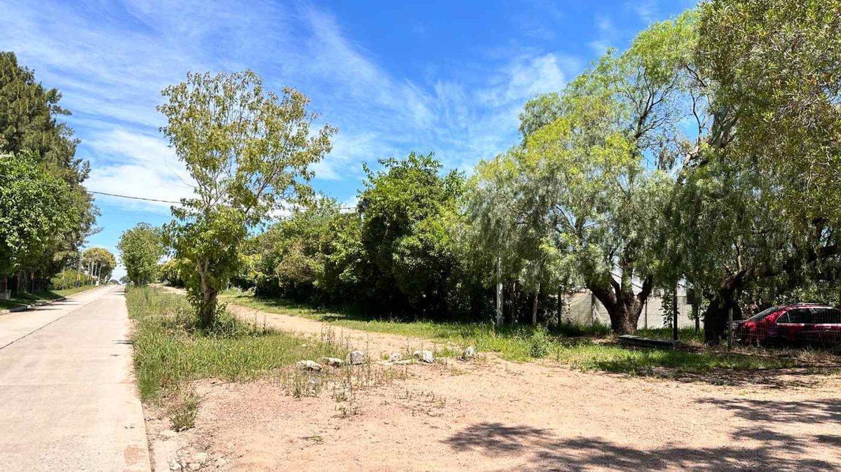 Foto de Venta Manga Terreno Suburbano Ideal Logística, imagen 5