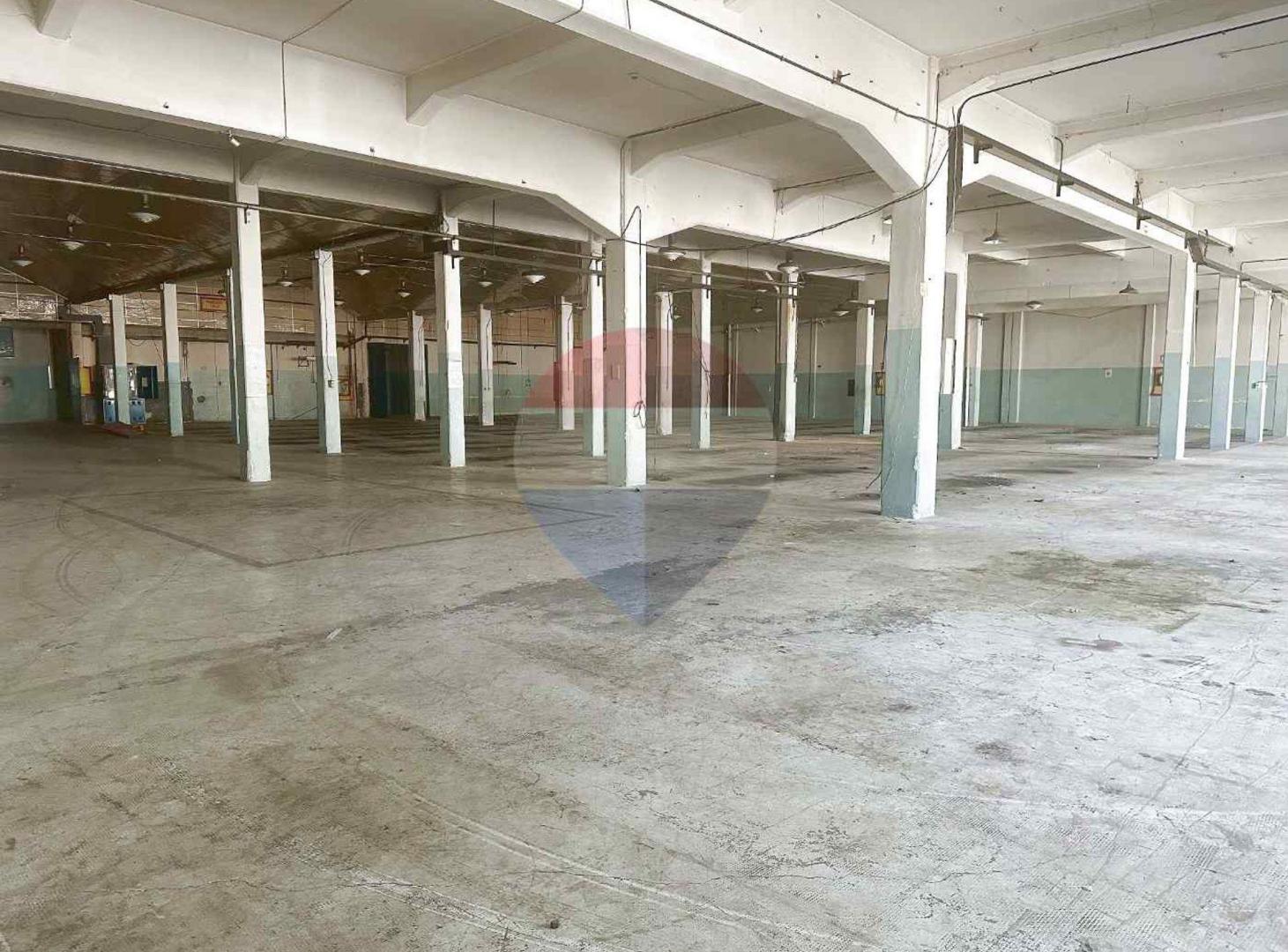 Foto de ALQUILER DE DEPÓSITOS VILLA ESPAÑOLA, imagen 3