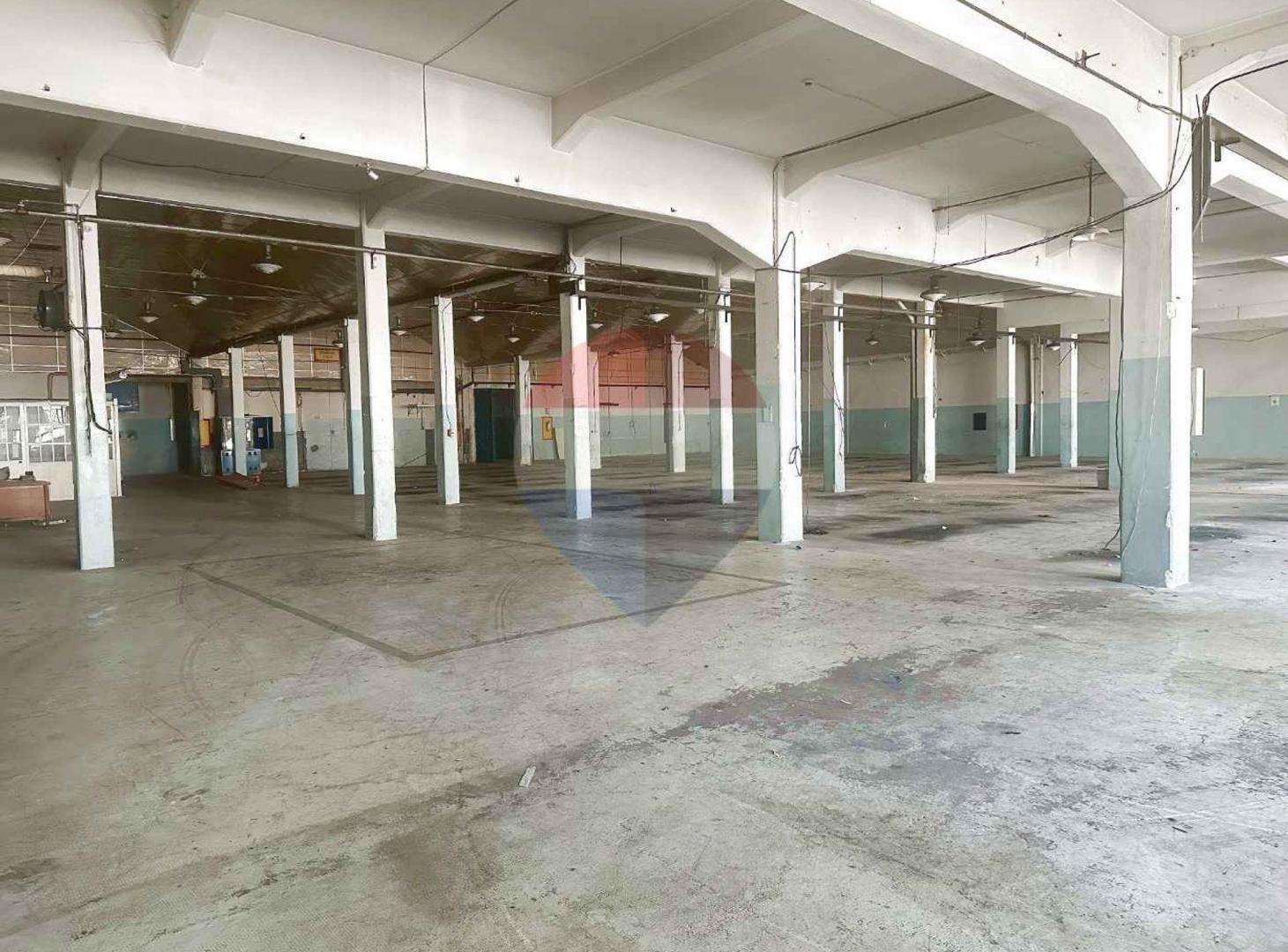 Foto de ALQUILER DE DEPÓSITOS VILLA ESPAÑOLA, imagen 4