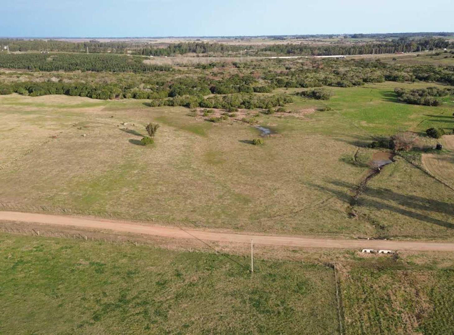 Foto de VENTA EXCLUSIVA CHACRA 8HA EN TERRAZAS DEL SOLIS, imagen 4