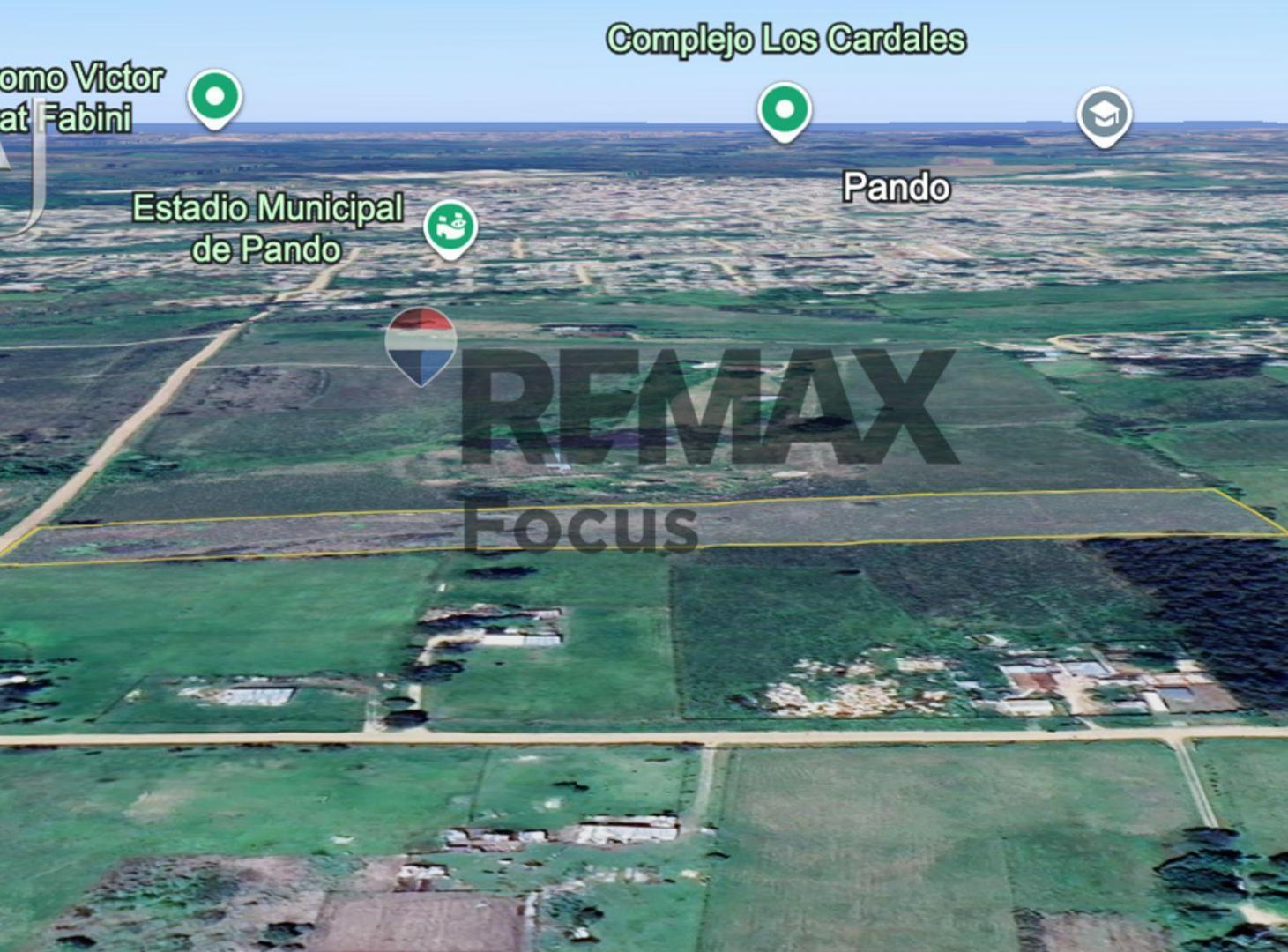 Foto de Venta de campo de 2,5 hectáreas próximo a Pando, imagen 4