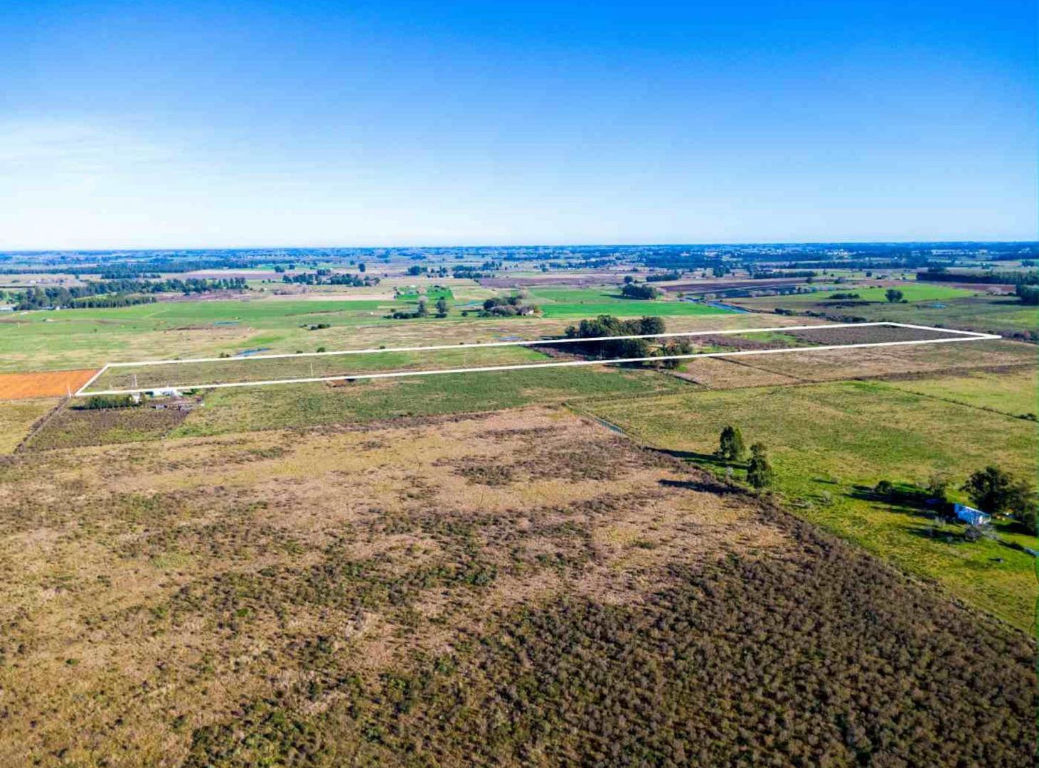 Foto de Venta de campo 10Ha. con casa en Estación Pedrera, imagen 5