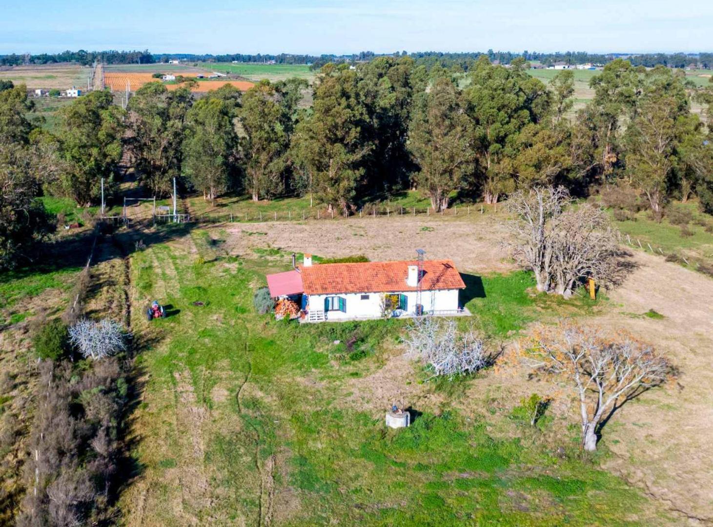 Foto de Venta de campo 10Ha. con casa en Estación Pedrera, imagen 3