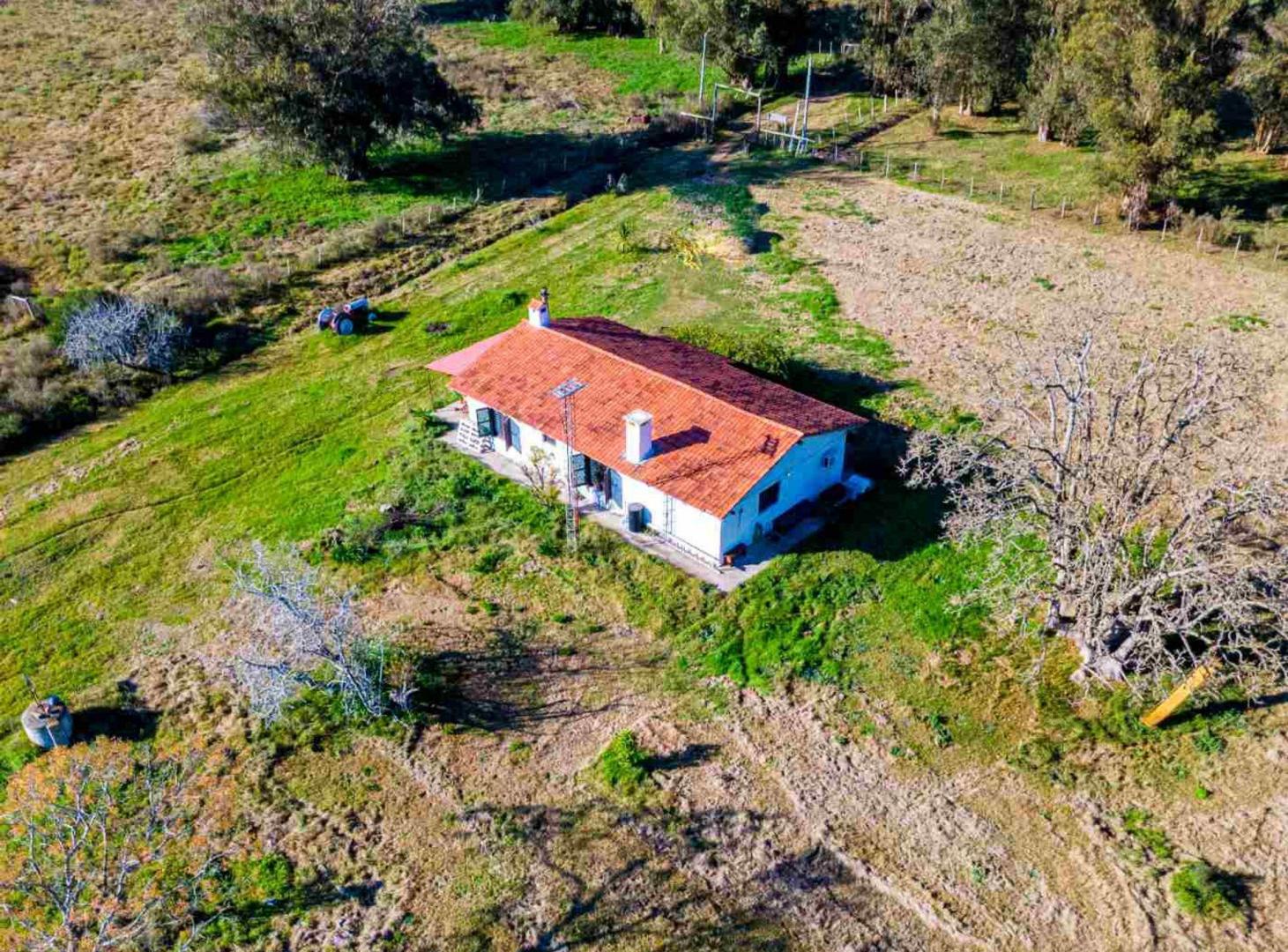 Foto de Venta de campo 10Ha. con casa en Estación Pedrera, imagen 1