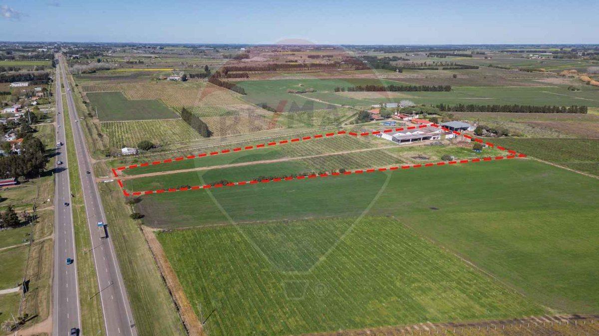 Foto de VENTA NAVE LOGÍSTICA SOBRE RUTA 5 CANELONES, imagen 3