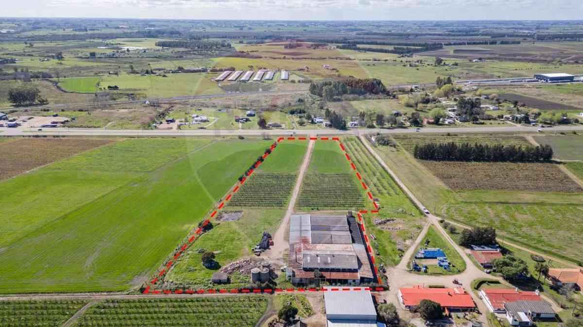 Foto de VENTA NAVE LOGÍSTICA SOBRE RUTA 5 CANELONES, imagen 1