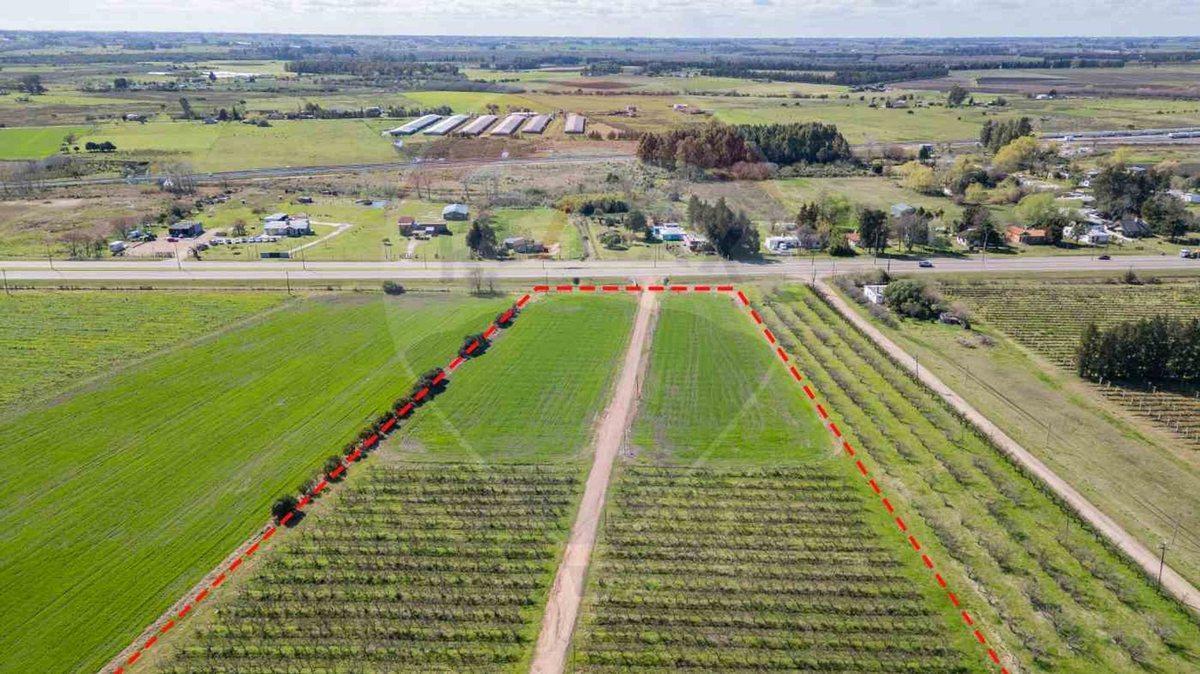 Foto de VENTA NAVE LOGÍSTICA SOBRE RUTA 5 CANELONES, imagen 5