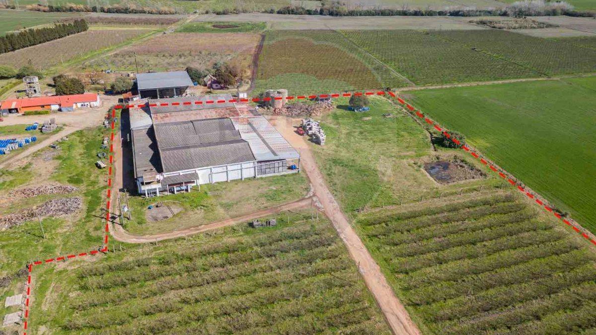 Foto de VENTA NAVE LOGÍSTICA SOBRE RUTA 5 CANELONES, imagen 2