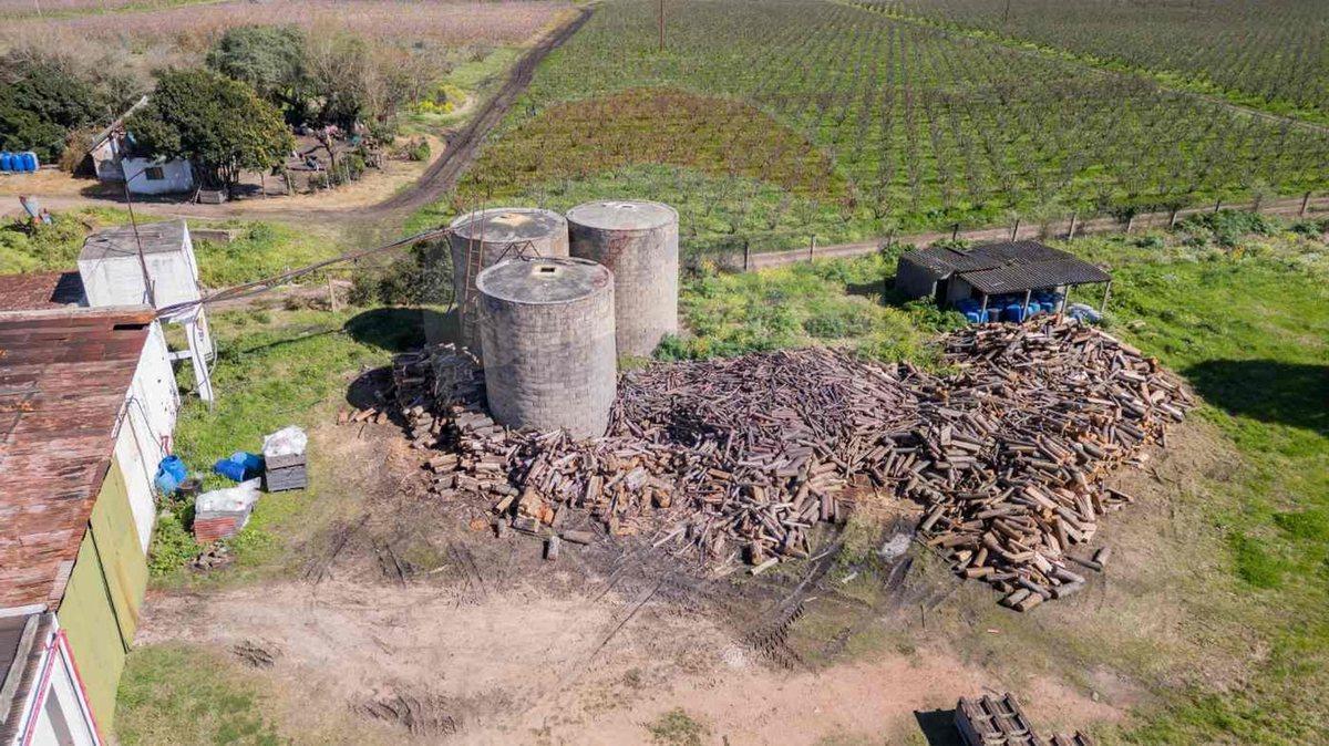 Foto de VENTA NAVE LOGÍSTICA SOBRE RUTA 5 CANELONES, imagen 3