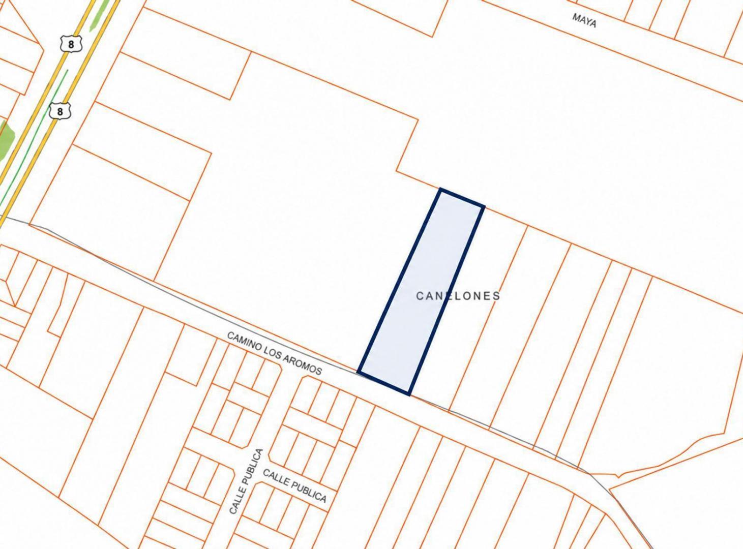 Foto de VENTA TERRENO EN CAMINO DE LOS AROMOS Y RUTA 8, imagen 4