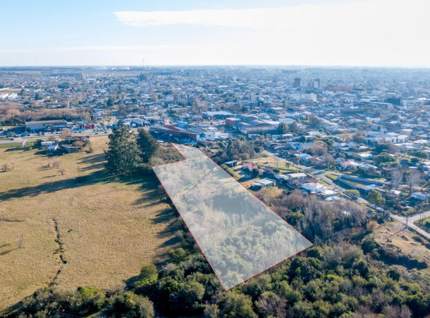 Foto de VENTA PADRON 9604M² RUTA 8 KM 30.500, PANDO, imagen 1