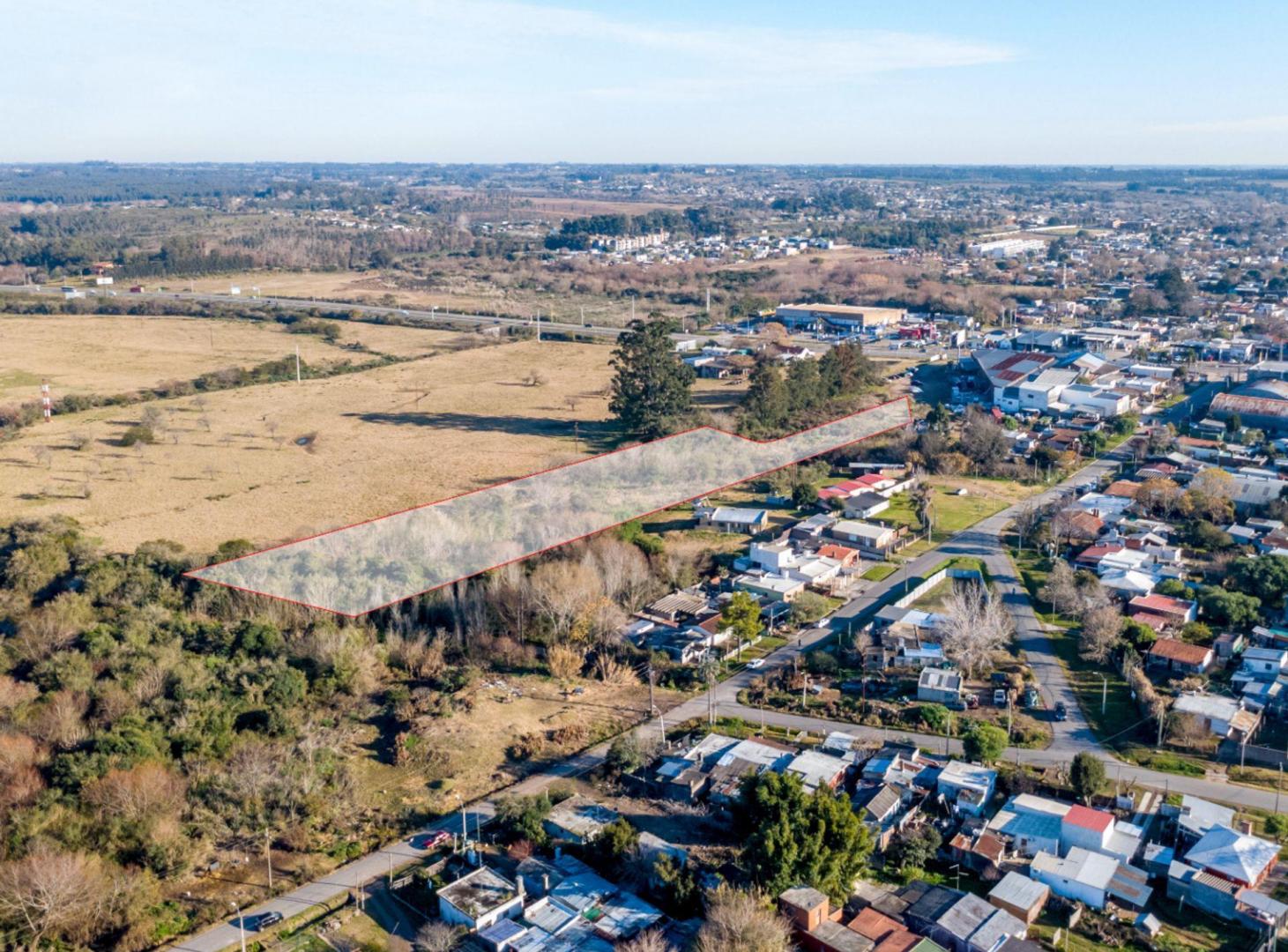 Foto de VENTA PADRON 9604M² RUTA 8 KM 30.500, PANDO, imagen 2