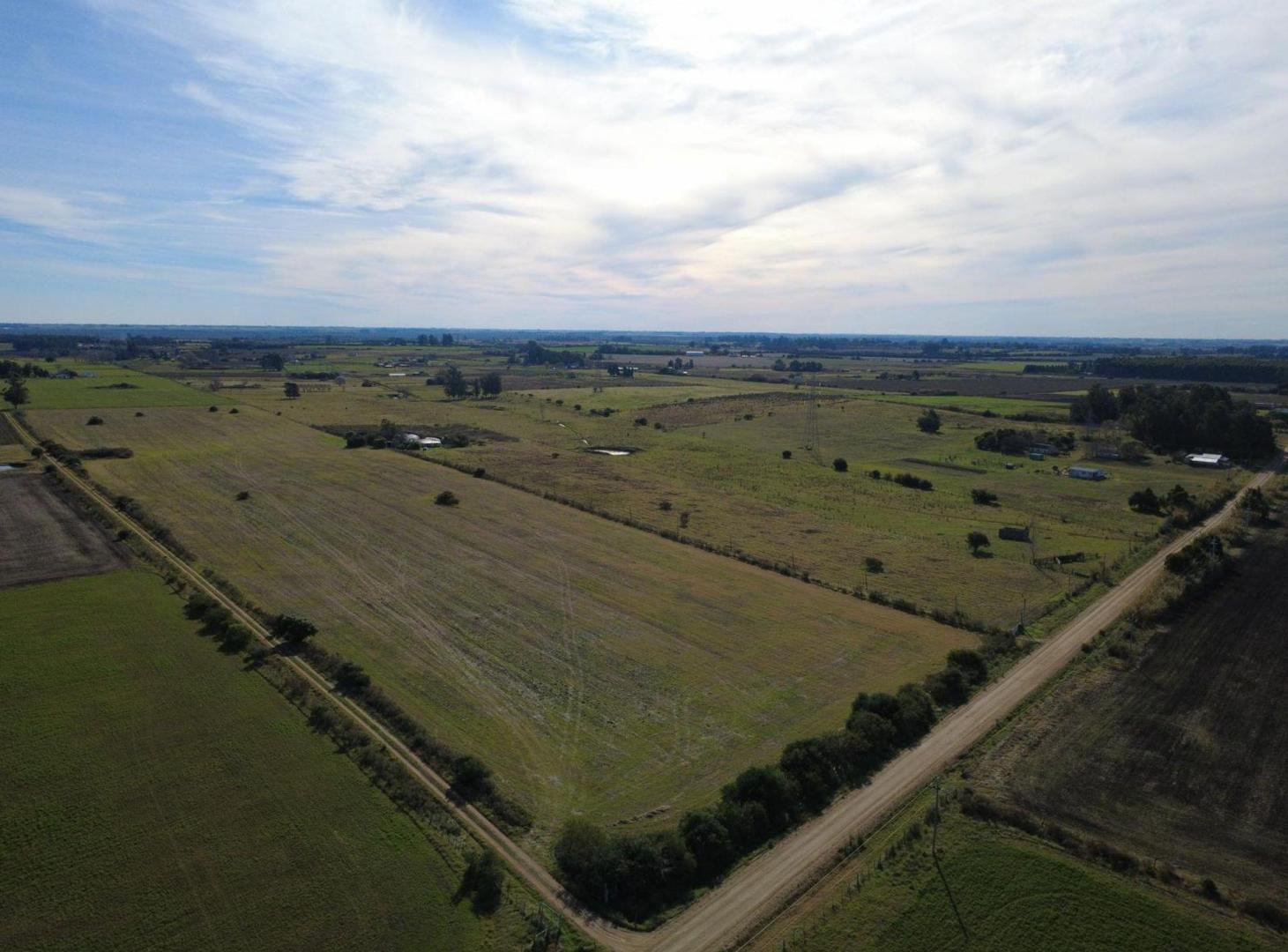 Foto de VENTA CAMPO 9,4 HAS LOS CERRILLOS, CANELONES, imagen 3