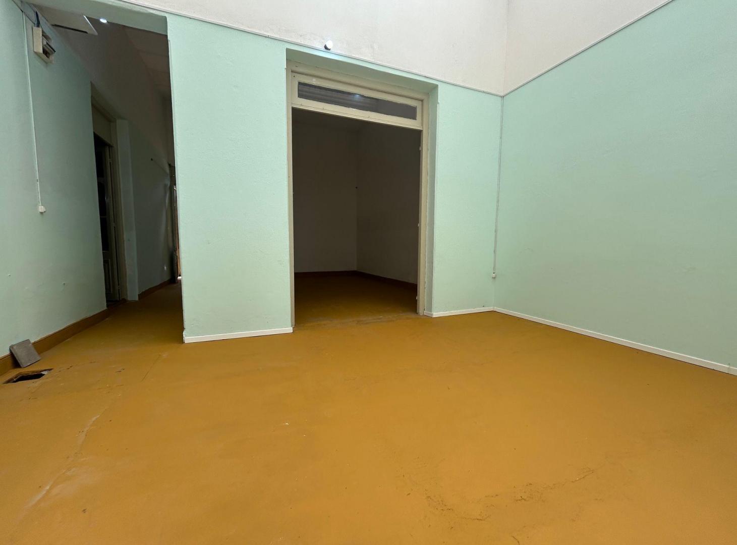 Foto de ALQUILER CASA O LOCAL COMERCIAL EN PASO MOLINO, imagen 2
