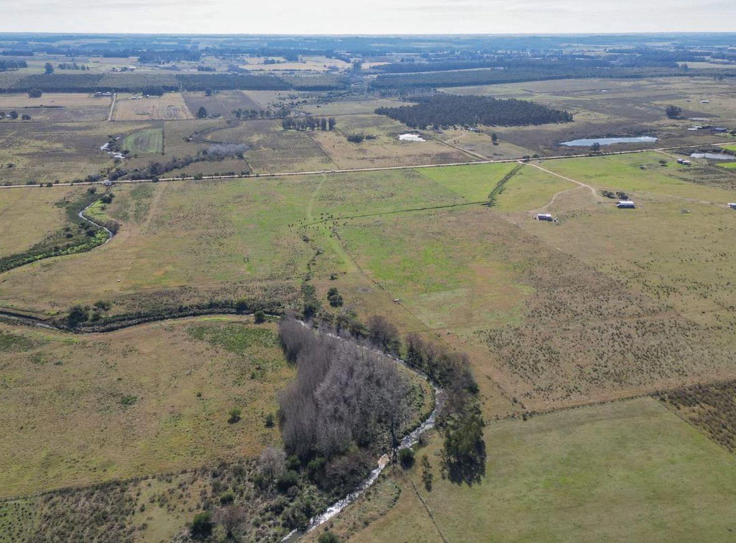 Foto de Venta chacra en Sosa Díaz, Canelones - 4,75ha, imagen 3
