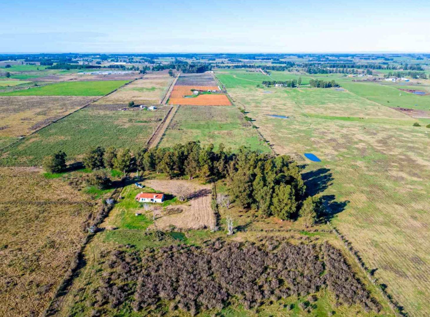 Foto de Venta de campo 10Ha. con casa en Estación Pedrera, imagen 1