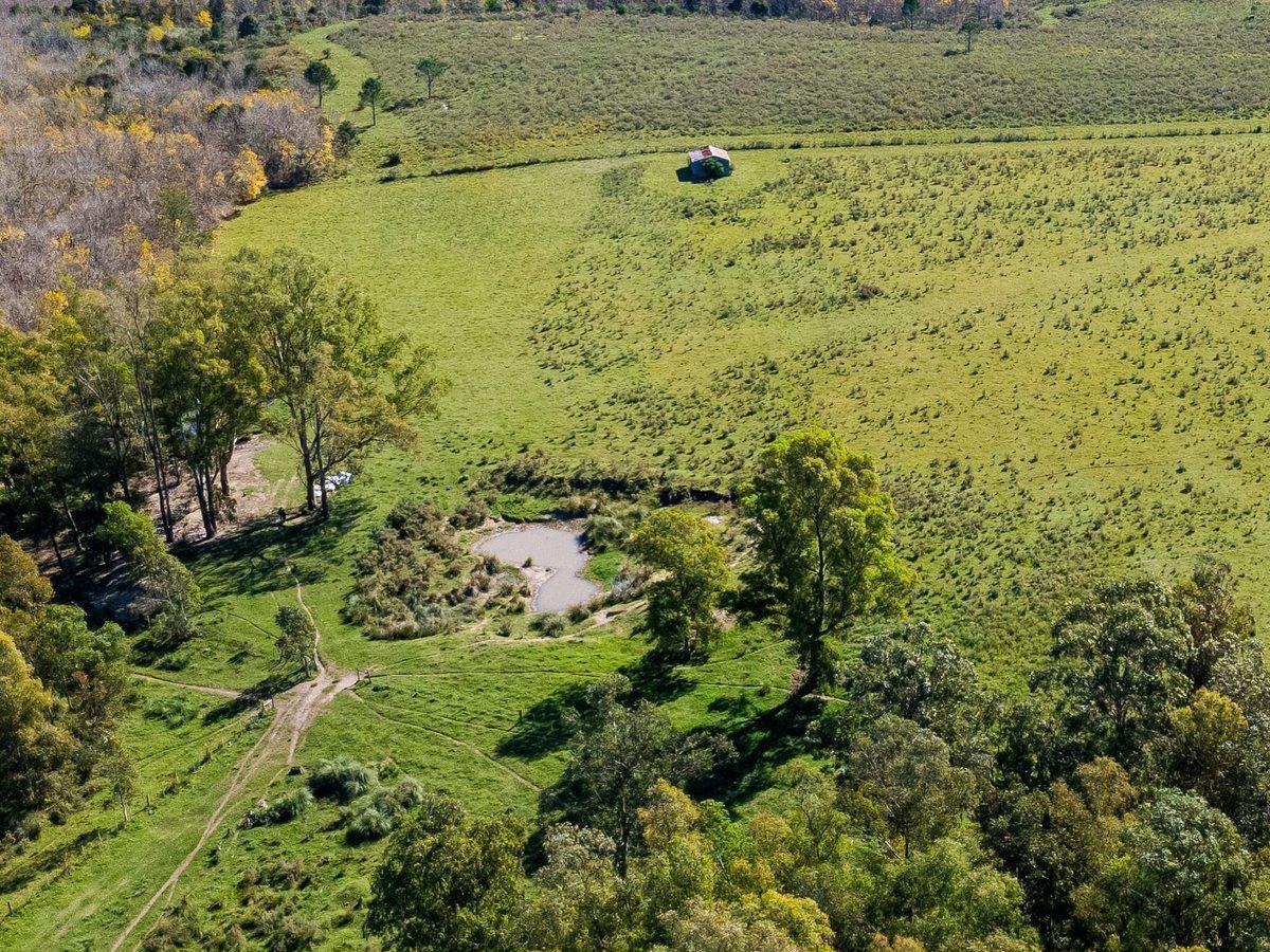 Foto de Venta de campo con 6 Ha. en Rincón de Pando, imagen 2