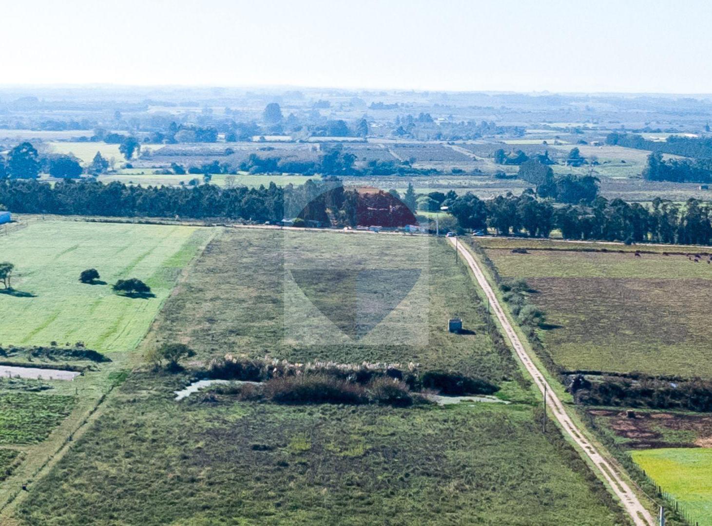 Foto de VENTA DE CAMPO 4 HECTAREAS CON TAJAMAR RUTA 75, imagen 1