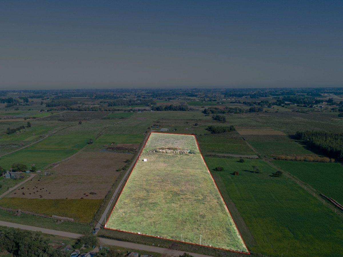 Foto de VENTA DE CAMPO 4 HECTAREAS CON TAJAMAR RUTA 75, imagen 4