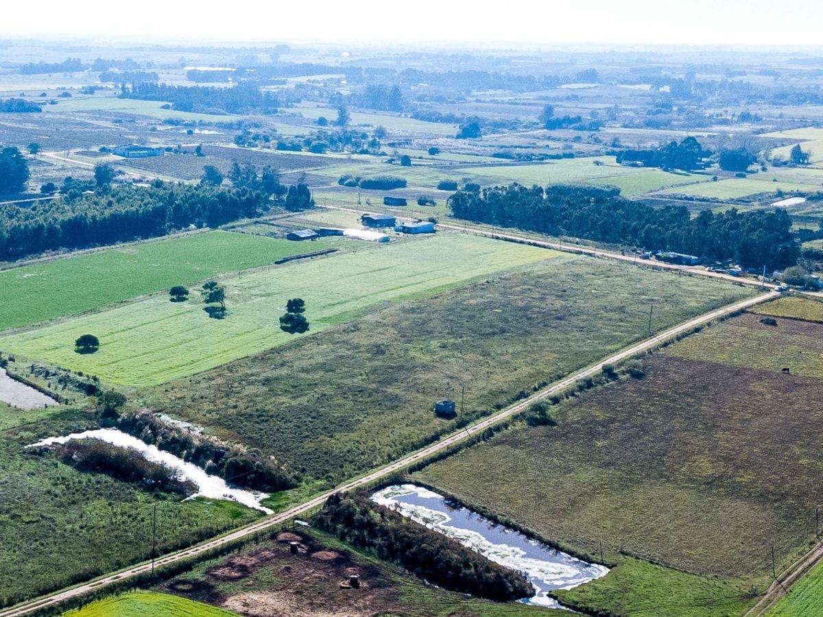 Foto de VENTA DE CAMPO 4 HECTAREAS CON TAJAMAR RUTA 75, imagen 3