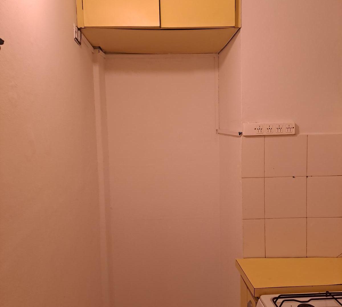 Foto de LUMINOSO Y AMPLIO MONOAMBIENTE COCINA APARTE Y LAVADERO, imagen 5