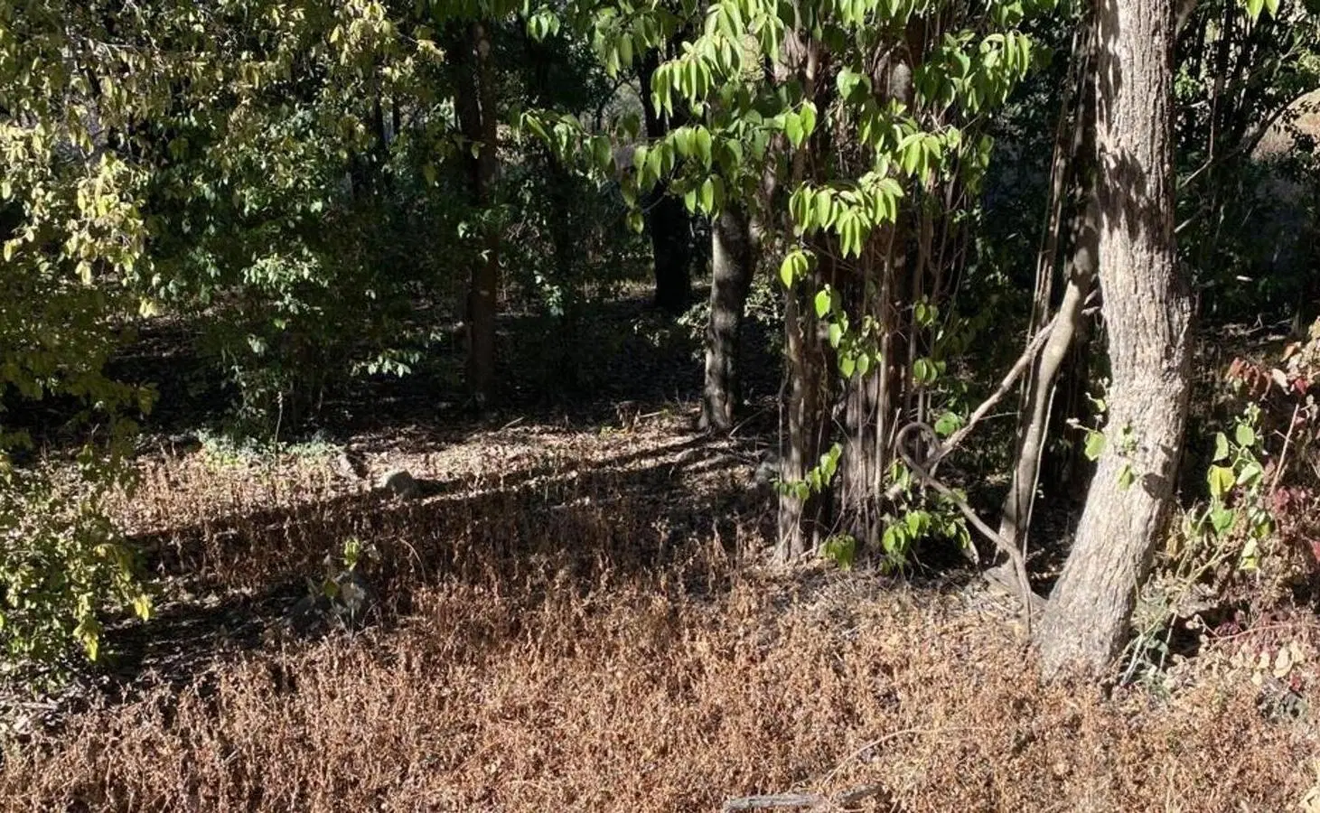 Terreno excelente ubicación en Lomas Del Cigarral , Unquillo 3