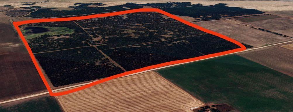 Campo en Necochea 5