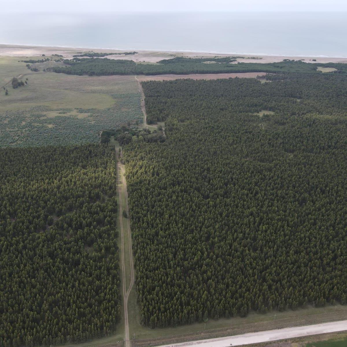 Campo en Necochea 3
