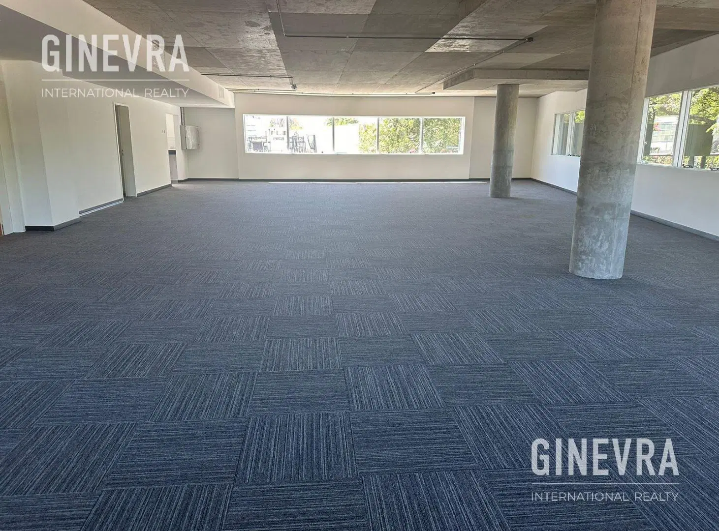 Oficina en Alquiler Puerto Madero - 220 m2 - Malecón Dique 4 - 2 cocheras 4
