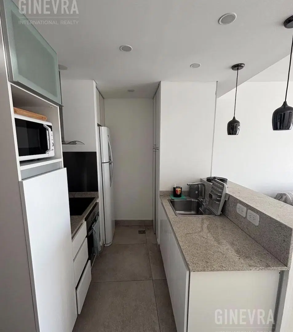 Departamento en Venta y Alquiler en Acqua Rio Nordelta 4