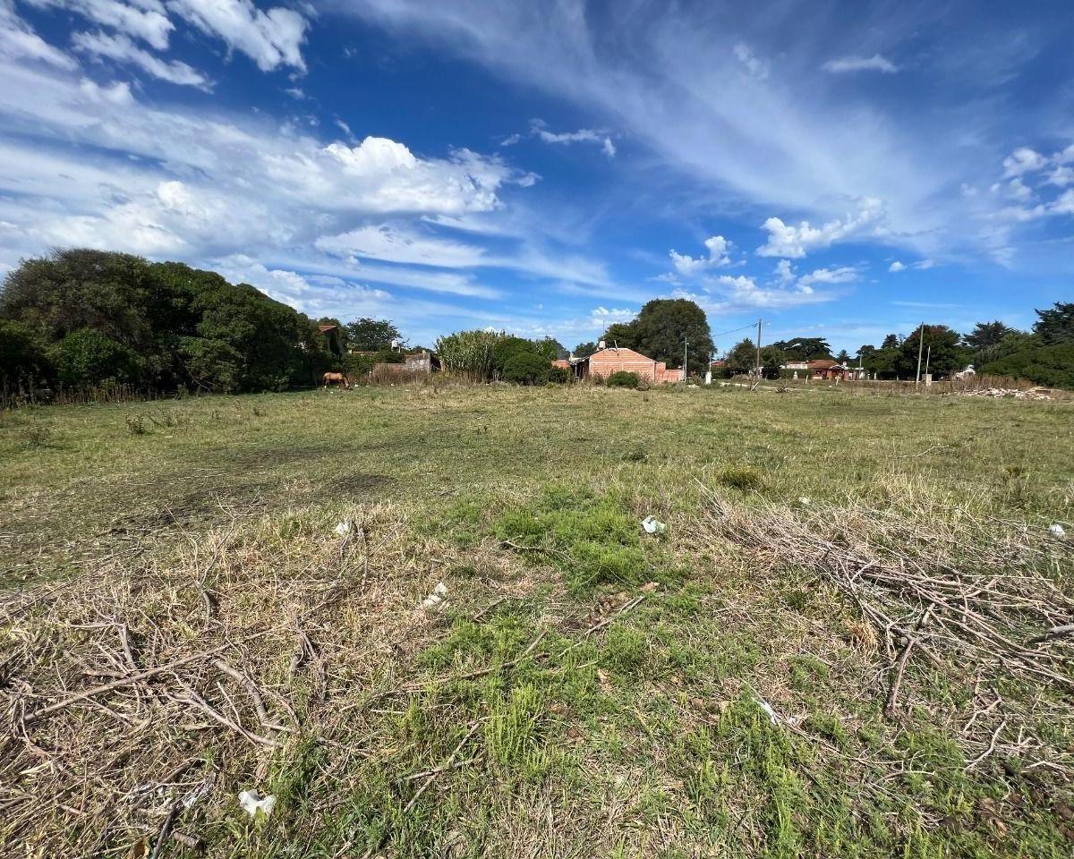 Lote. | 51 1590 Al 3200 4