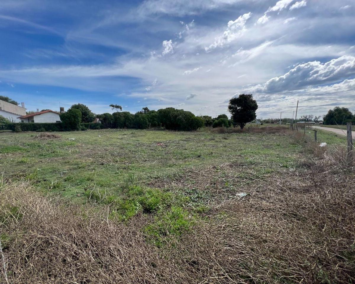 Lote. | 51 1590 Al 3200 1