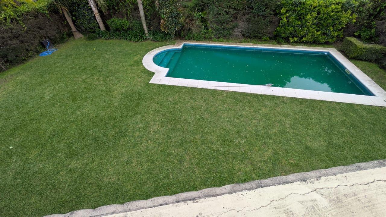 Foto de Fin de año/ Enero/Febrero/Marzo, imagen 1