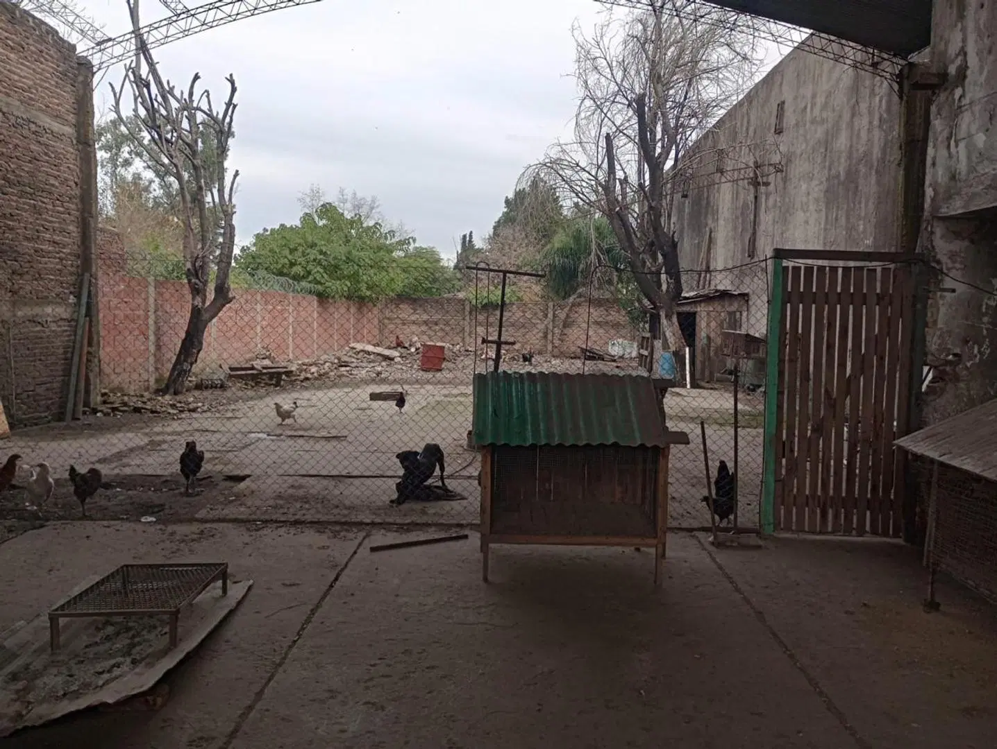 VENTA DE GALPÓN EN JOSÉ C. PAZ 5