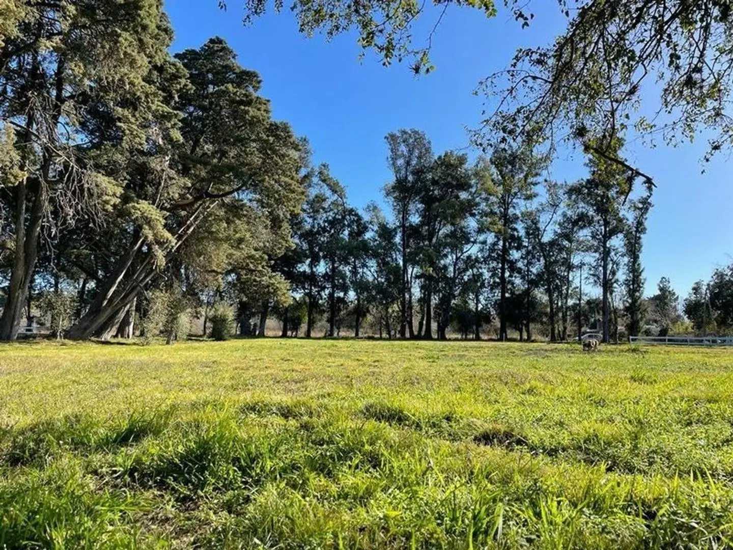 Venta de Lote barrio semi cerrado la estancia gral rodriguez 2