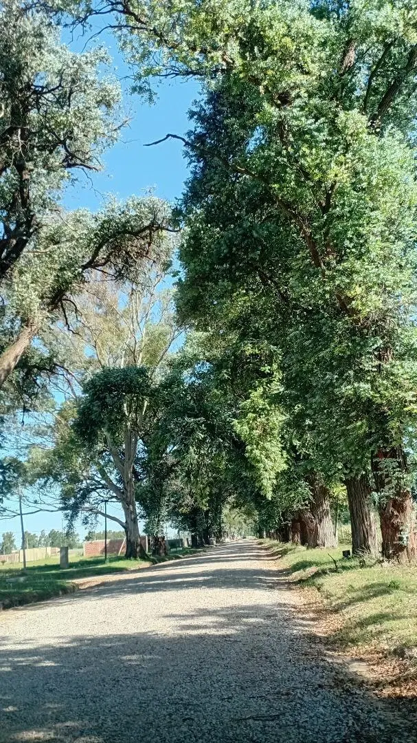 Venta de Lote barrio semi cerrado la estancia gral rodriguez 4