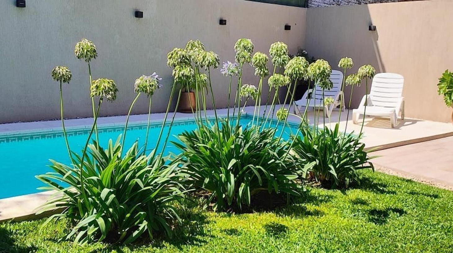 Foto de Casa 4 ambientes con quincho y pileta, imagen 3