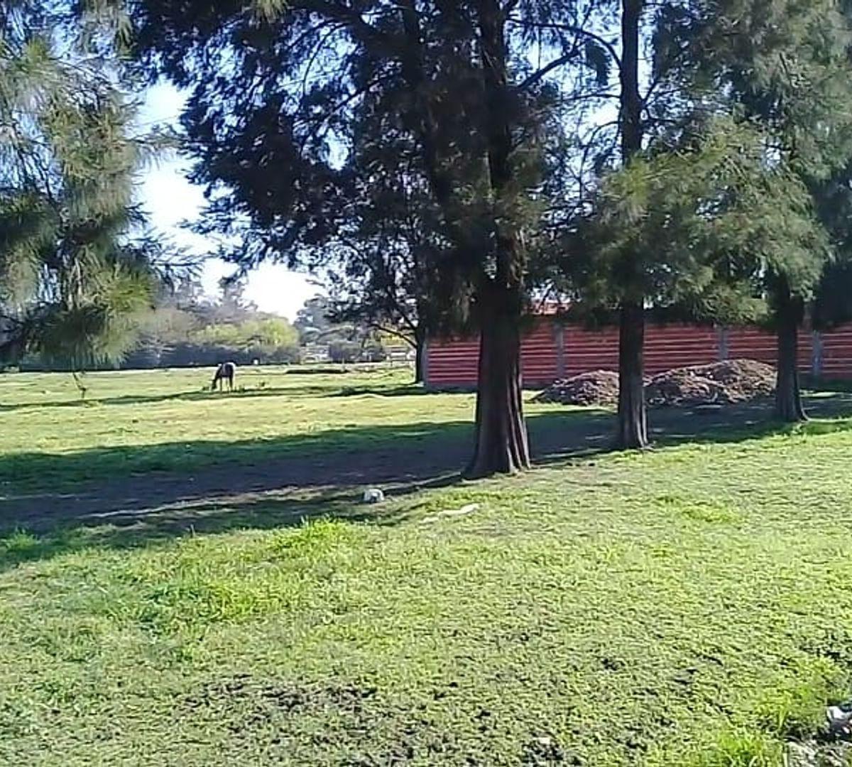 Venta - Lotes 300/400/500 m² - Trujui, Moreno 4